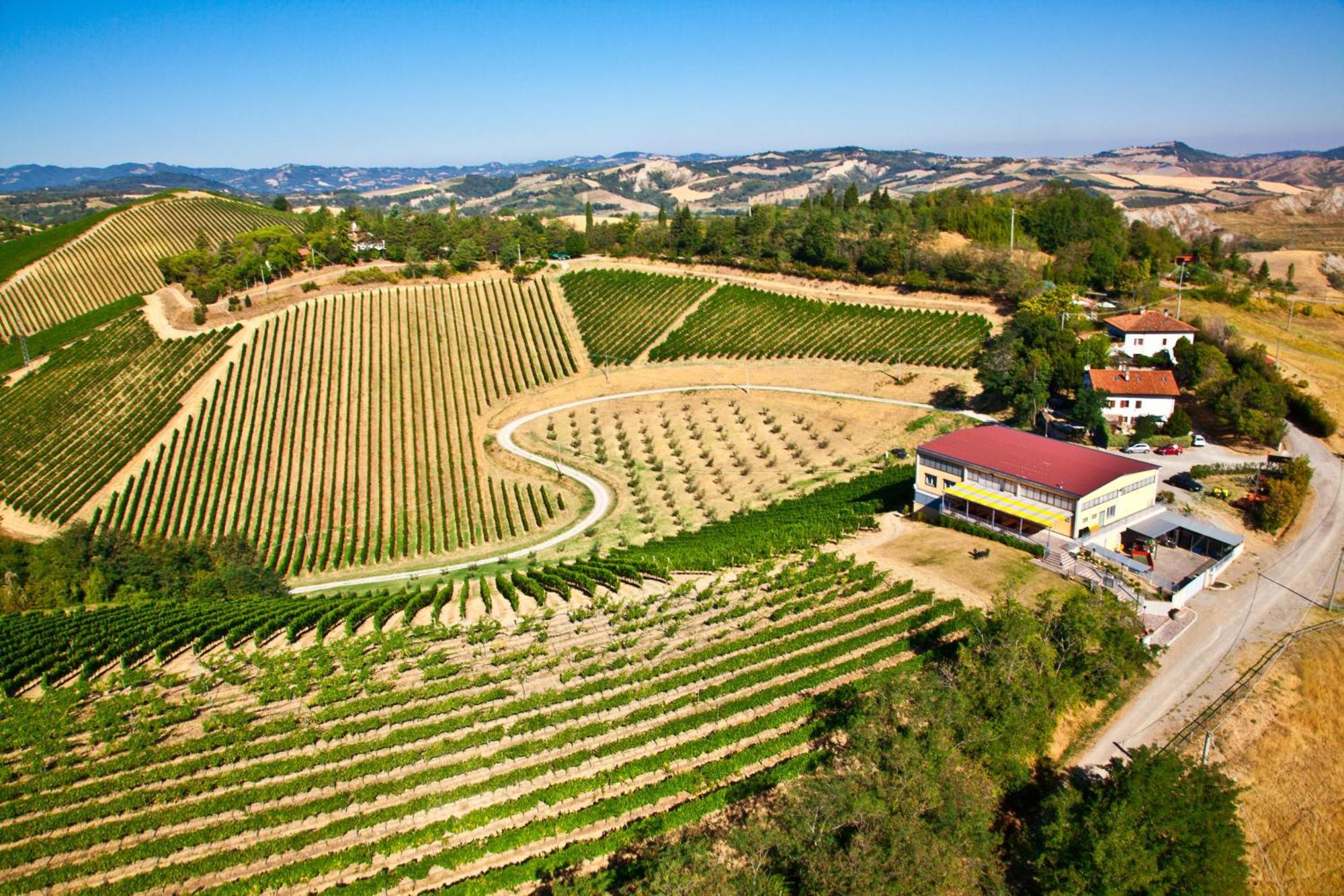 Podere Riosto Cantina&Agriturismo Pianoro Exterior foto